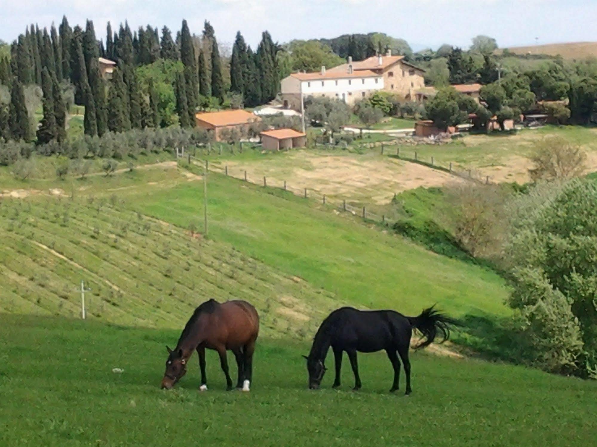 Agriturismo Renello Petroio Exterior photo
